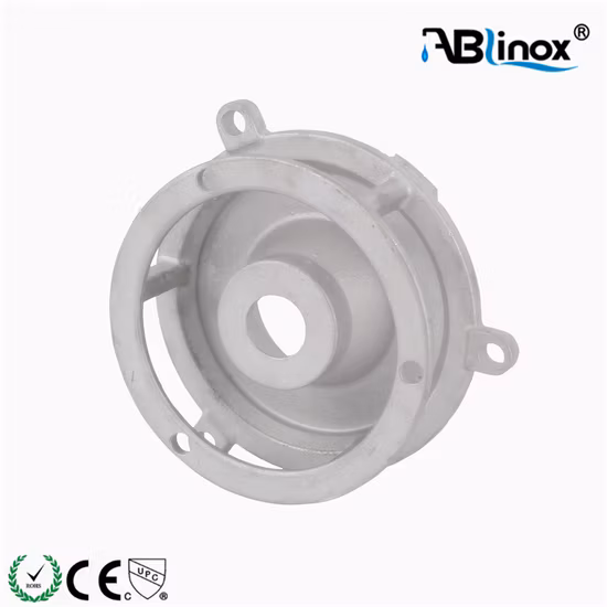 ステンレス鋼 CF8m 304 鋳造エンジン自動車予備鋼製品