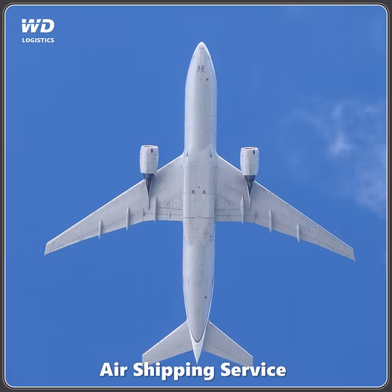 中国からモロッコへの低価格の航空/船/速達貨物 国際配送代理店物流